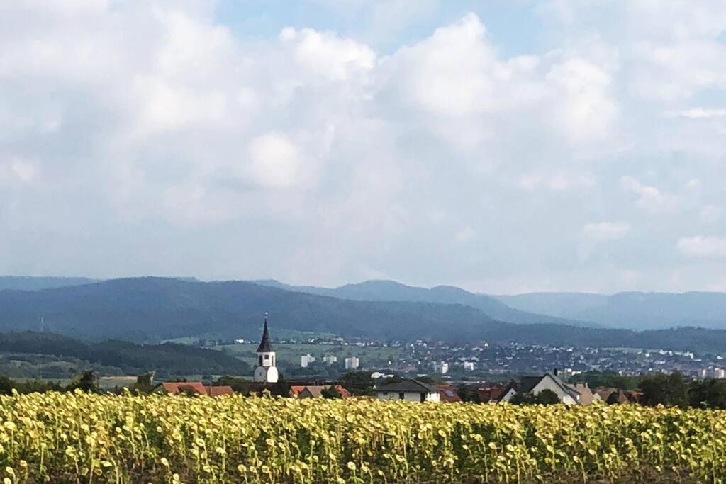 Kleines Haeuschen Zum Wohlfuehlen Apartment Balingen Bagian luar foto